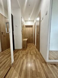 Pronájem bytu 2+1 v osobním vlastnictví 53 m², Vyškov