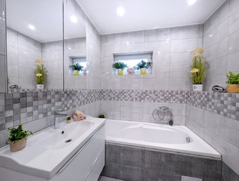 Prodej domu 170 m², Obříství