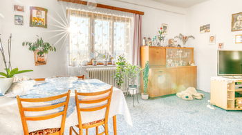 Prodej domu 290 m², Provodín