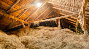 Prodej domu 290 m², Provodín