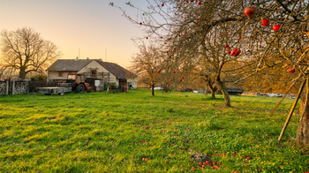 Prodej domu 290 m², Provodín