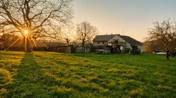 Prodej domu 290 m², Provodín