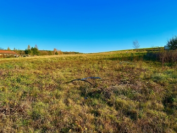 Prodej pozemku 5742 m², Ostřetín