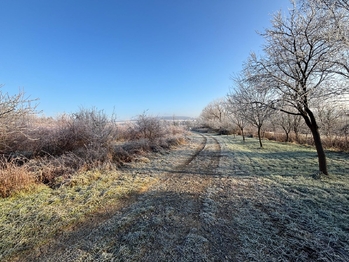 Prodej pozemku 2426 m², Uherský Brod