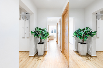 Pronájem bytu 3+kk v osobním vlastnictví 55 m², Praha 8 - Kobylisy