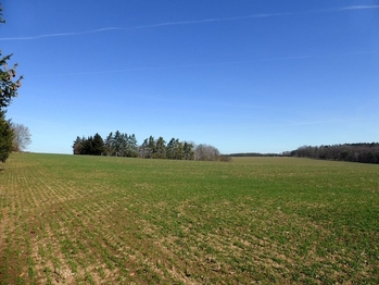 Prodej pozemku 1550 m², Bzenec