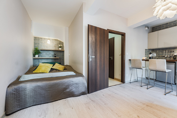 Prodej bytu 1+kk v osobním vlastnictví 33 m², Praha 7 - Holešovice