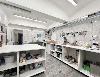 Prodej obchodních prostor 55 m², Osek