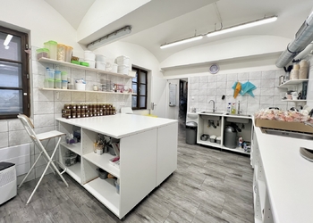 Prodej obchodních prostor 55 m², Osek