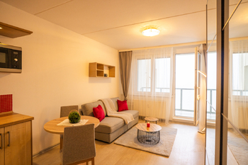 Pronájem bytu 1+kk v družstevním vlastnictví 27 m², České Budějovice