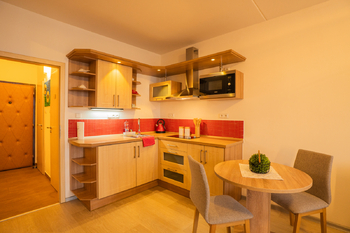 Pronájem bytu 1+kk v družstevním vlastnictví 27 m², České Budějovice