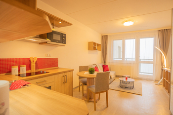 Pronájem bytu 1+kk v družstevním vlastnictví 27 m², České Budějovice