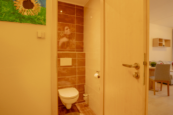 Pronájem bytu 1+kk v družstevním vlastnictví 27 m², České Budějovice