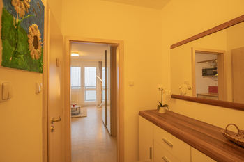 Pronájem bytu 1+kk v družstevním vlastnictví 27 m², České Budějovice