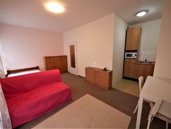 Pronájem bytu 1+kk v osobním vlastnictví 26 m², Praha 4 - Krč