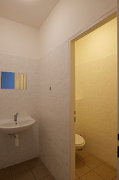 Sociální zařízení u prodejny Asimina - Prodej jiných prostor 526 m², Sedlčany