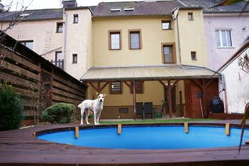 Prodej domu 271 m², Sokolov