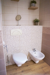 Prodej domu 271 m², Sokolov