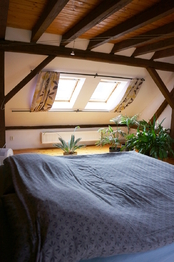 Prodej domu 271 m², Sokolov