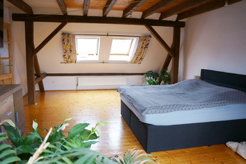 Prodej domu 271 m², Sokolov