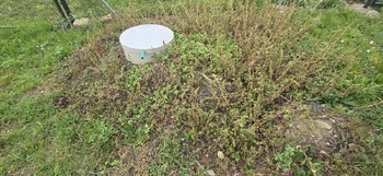 Prodej pozemku 933 m², Žitenice