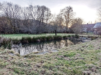 Prodej domu 737 m², Staré Sedlo