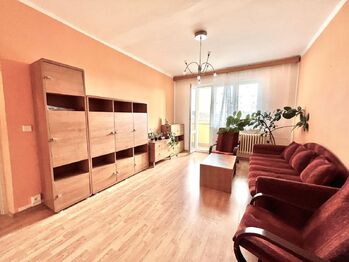 Pronájem bytu 2+1 v družstevním vlastnictví 69 m², Ostrava