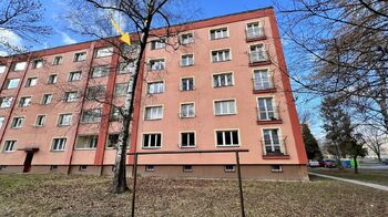 Pronájem bytu 2+1 v družstevním vlastnictví 69 m², Ostrava