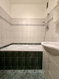 Pronájem bytu 2+1 v družstevním vlastnictví 69 m², Ostrava