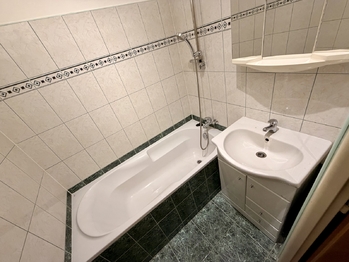 Pronájem bytu 2+1 v družstevním vlastnictví 69 m², Ostrava