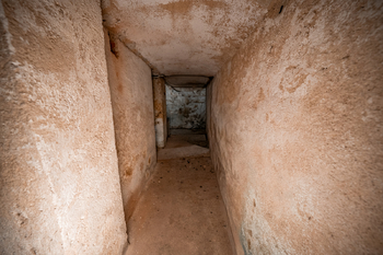 Prodej domu 175 m², Březnice