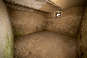 Prodej domu 175 m², Březnice