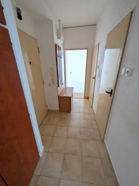 Pronájem bytu 2+1 v osobním vlastnictví 62 m², Jihlava