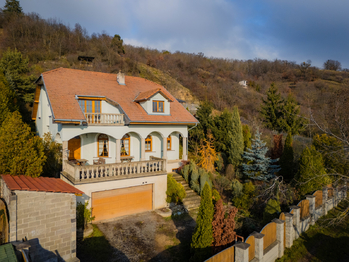 Prodej domu 252 m², Viničné Šumice