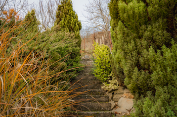 Prodej domu 252 m², Viničné Šumice