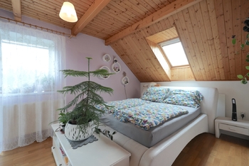 Prodej chaty / chalupy 300 m², Velké Losiny