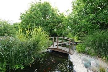 Prodej chaty / chalupy 300 m², Velké Losiny