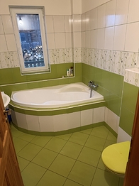 Pronájem domu 80 m², Domamil