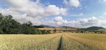 pohled v létě směrem od Velkého vrchu - Prodej pozemku 24568 m², Vršovice