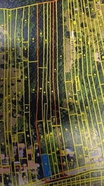 Prodej pozemku 7167 m², Viničné Šumice