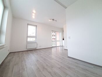 Pronájem bytu 1+kk v osobním vlastnictví 38 m², Plzeň