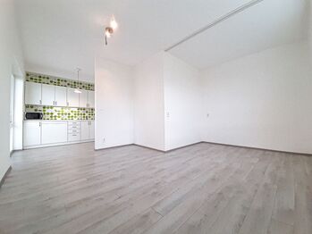 Pronájem bytu 1+kk v osobním vlastnictví 38 m², Plzeň