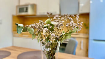 Pronájem bytu 2+kk v osobním vlastnictví 50 m², Jihlava