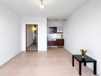 Prodej bytu 1+kk v družstevním vlastnictví 27 m², Praha 4 - Háje