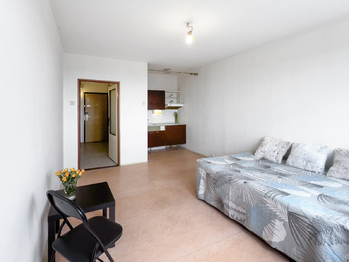 Prodej bytu 1+kk v družstevním vlastnictví 27 m², Praha 4 - Háje