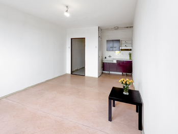 Prodej bytu 1+kk v družstevním vlastnictví 27 m², Praha 4 - Háje