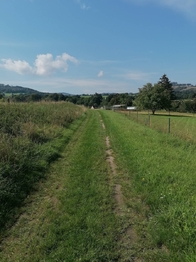 Prodej pozemku 2478 m², Zlaté Hory