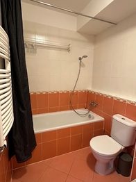 Pronájem bytu 1+kk v osobním vlastnictví 42 m², Praha 9 - Vysočany