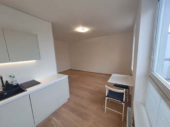 Pronájem bytu 1+kk v osobním vlastnictví 42 m², Praha 9 - Vysočany