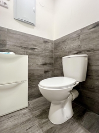 WC - Prodej domu 55 m², Osek